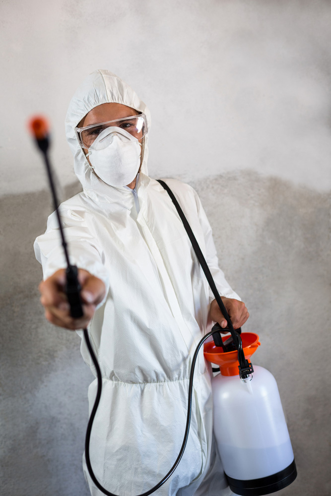 termite control services man spraying