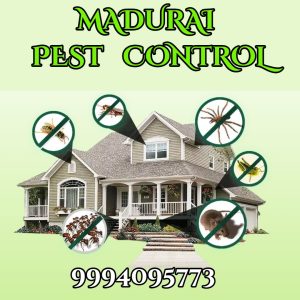 best residential pest control madurai