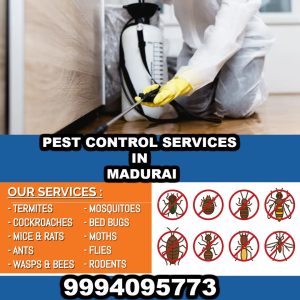 Pest control near to you