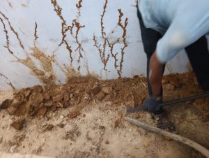 Termite mounds removal