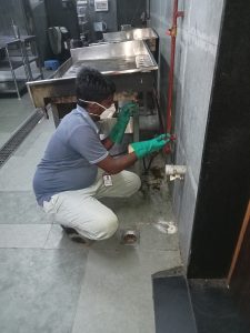 Pest Control for Cockroach in Madurai