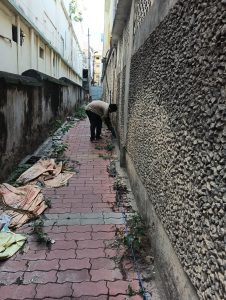 Drilling treatment for termites