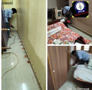 Termite control madurai