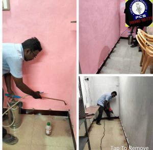 madurai termite treatment cost