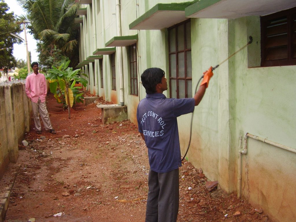 wasp removal madurai